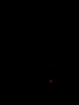 Joseerinaldo99 online show from 02.14.26