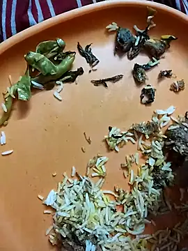 hyderabad single online show from 03.21.26