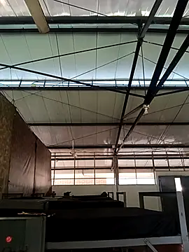 MonasticCanine online show from 11.26.25