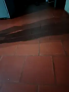 MonasticCanine online show from 02.23.26