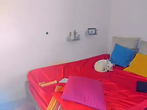 hotcassy online show from 02.25.26