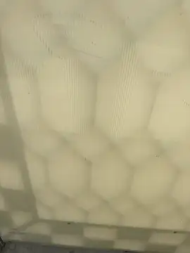 elqueteda lechita online show from 04.20.26