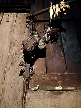 -Chua-90 online show from 02.09.26