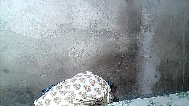 xwindyxxx online show from 02.19.26