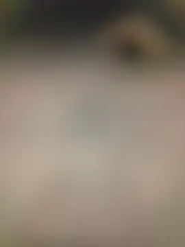 Snapshot of piggylatino chatting on 02.02.26 piggylatino online show from 02.02.26