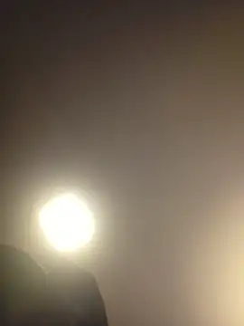 Snapshot of piggylatino chatting on 03.19.26 piggylatino online show from 03.19.26