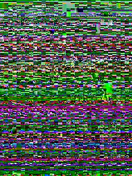 Maria-Becker online show from 01.05.26