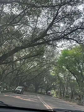 sexyayeshadesi online show from 11.20.25