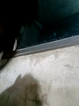 Ava-120 online show from 02.17.26