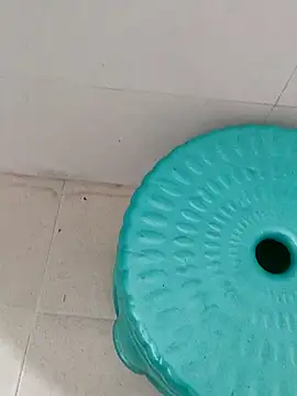 Snapshot of Sagarnp chatting on 11.22.25 Sagarnp online show from 11.22.25