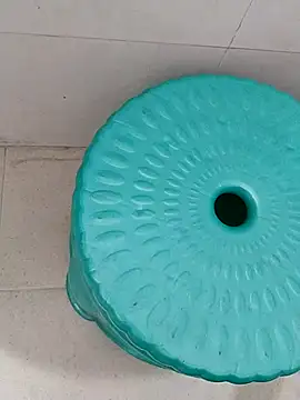 Snapshot of Sagarnp chatting on 11.27.25 Sagarnp online show from 11.27.25