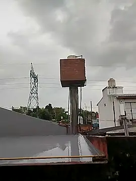 reynaafro93 online show from 11.20.25