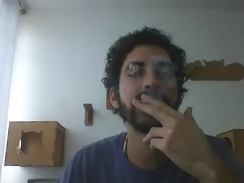 Temp7 online show from 03.05.26