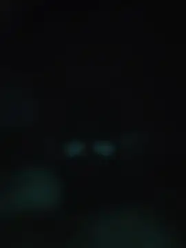 00x0x00 online show from 05.20.26