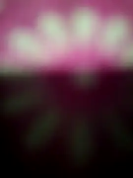 Nandani-758 online show from 12.19.25