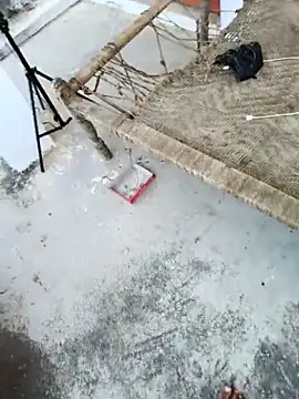 apka rockstarr online show from 11.27.25