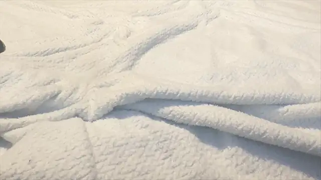 famous1tad online show from 12.22.25