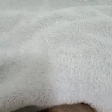 Novinhocomedordeppk online show from 01.12.26