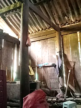 Lily-ross22 online show from 11.25.25