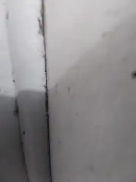 AdvancedRoster online show from 04.26.26