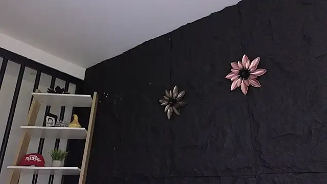 Paulo 527 online show from 01.08.26