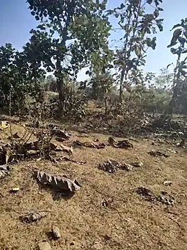 88zaifkhan88 online show from 01.07.26