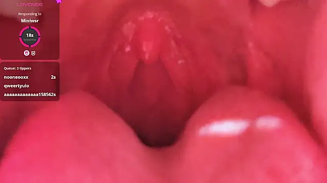 LT-333 online show from 02.26.26