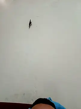 big16cmx online show from 11.26.25