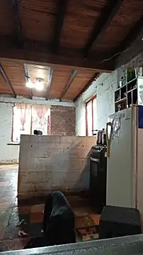 ChanneldelaCroix online show from 02.20.26