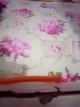 HKOOOH80 online show from 01.05.26