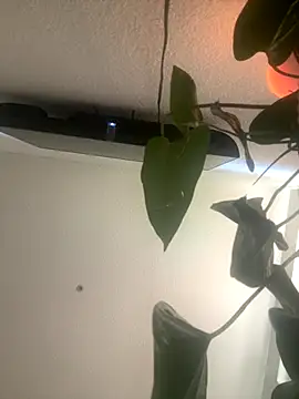 redheadangel 5 online show from 11.29.25