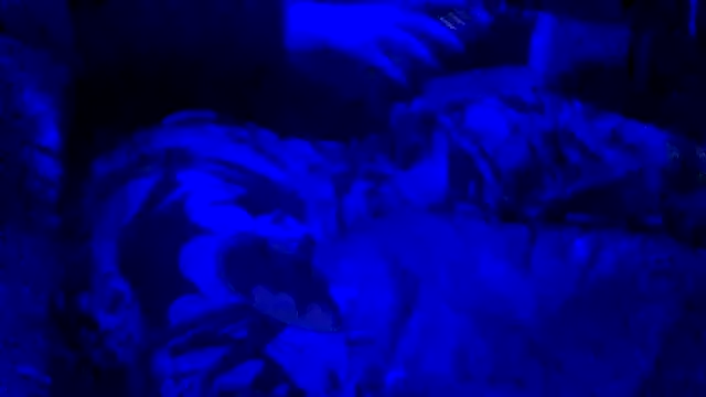 Snapshot of joshbrown699 chatting on 11.30.25 joshbrown699 online show from 11.30.25