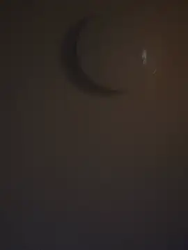 DutchMiracle26 online show from 04.28.26