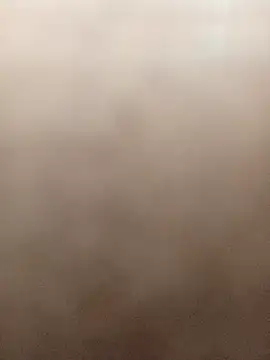 gatitachula93 online show from 03.01.26