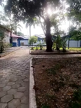 Mchljjk online show from 01.08.26