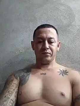 wescool-03 online show from 01.06.26