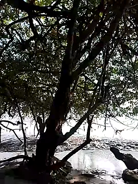 Andreskelly online show from 02.13.26