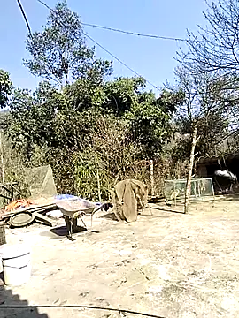 neko-nancy online show from 02.16.26