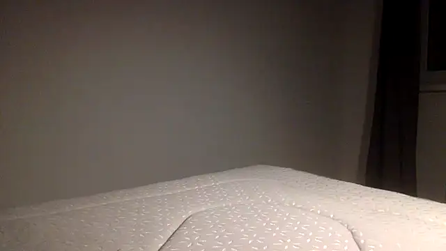 Snapshot of Palinchik chatting on 02.04.26 Palinchik online show from 02.04.26