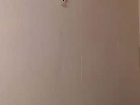 camelastarsairo online show from 03.31.26