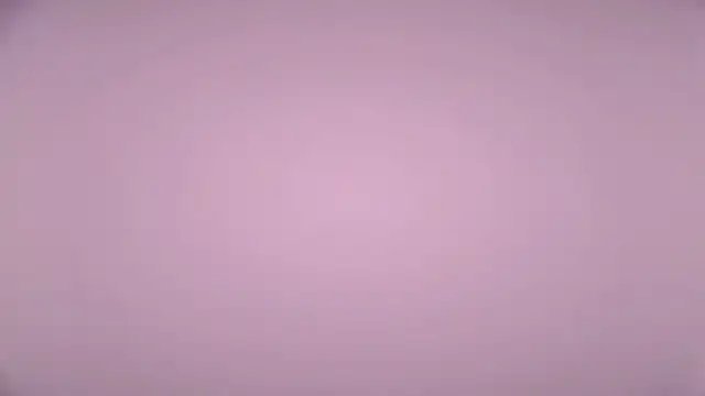 LexiMoss online show from 04.17.26