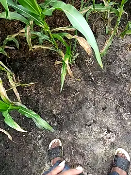 Snapshot of loki-king-143 chatting on 02.24.26 loki-king-143 online show from 02.24.26