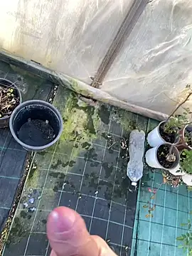 marcoboss online show from 01.14.26