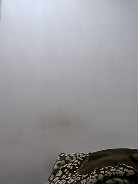 Snapshot of twinkarabboy chatting on 02.17.26 twinkarabboy online show from 02.17.26