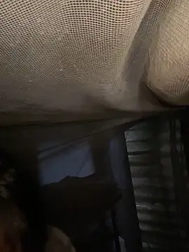 Snapshot of Nika-be chatting on 02.11.26 Nika-be online show from 02.11.26