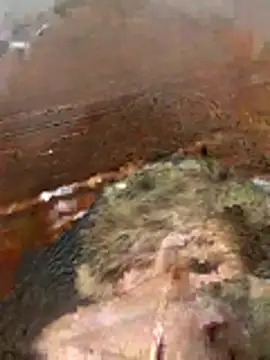 katiyvy online show from 02.16.26