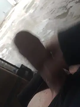 Mar81 online show from 02.03.26