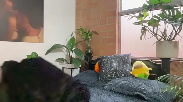 Andy Belier23 online show from 02.20.26