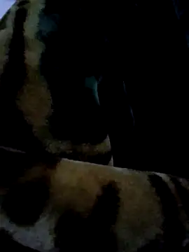 aman4404 online show from 01.06.26