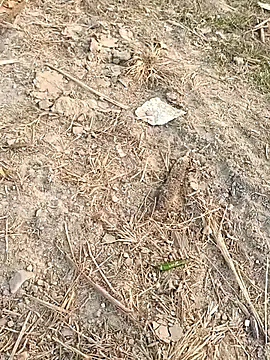 sexloverg7 online show from 12.15.25